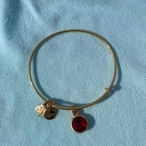 January Birthstone Alex and Ani Bracelete